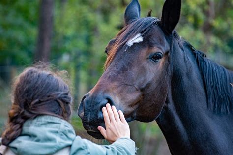 AI Might Help Humans Talk to Animals, Opening New Doors for ...