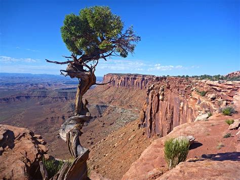 Canyonlands National Park, Utah, USA - Traveldigg.com