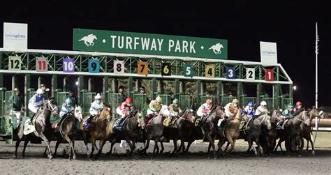 Turfway Park Horse Racing Picks & Insider Analysis - Todays Racing Digest