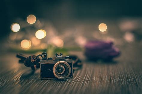 56 Creative Bokeh Shots That You'll Enjoy - VIEWBUG.com