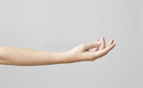 Open Palm Hand Gesture of Female Hand Stock Image - Image of white ...