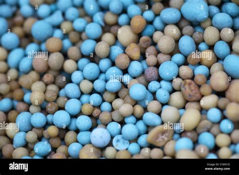 A close-up of slow release plant food fertilizer granules Stock Photo - Alamy