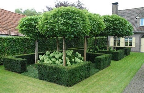 Beautiful Boxwood Gardens That Will Grab Your Attention