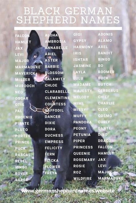 Recklessly: Black German Shepherd Names Girl