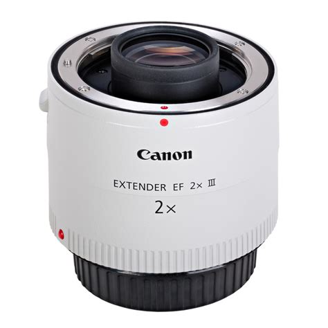 Review Canon Extender EF 2x III op EF 400MM F/2.8L IS III USM - CameraStuff Review