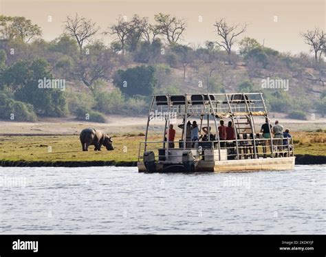 Chobe River cruise - people doing a boat safari to see wildlife, Chobe ...