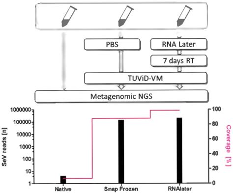 Use of RNALater® Preservation for Virome Sequencing in Outbreak ...