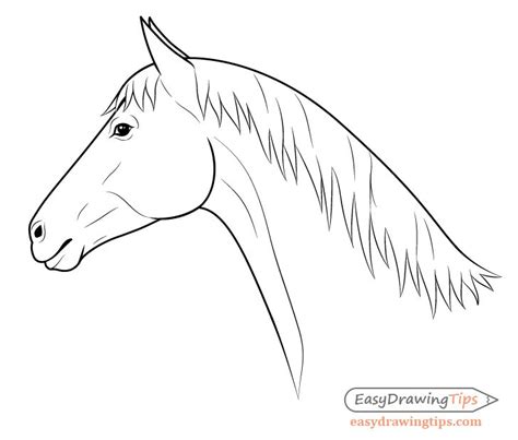 How to Draw a Horse From the Side View Tutorial - EasyDrawingTips | Horse head drawing, Horse ...