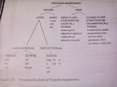 Grammatical Morphemes