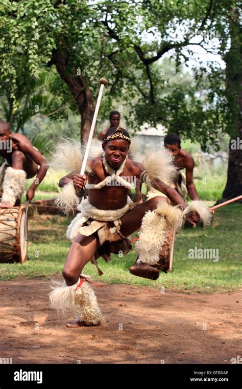 Zulu Warriors, KwaZulu-Natal, South Africa Stock Photo: 32214078 - Alamy