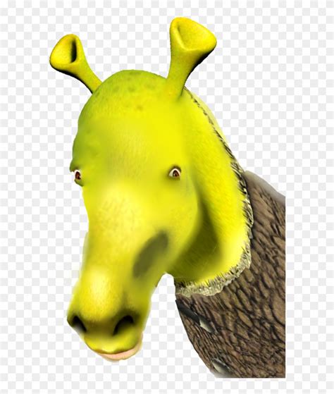 Shrek Face Png, Transparent Png - 820x974(#49415) - PngFind