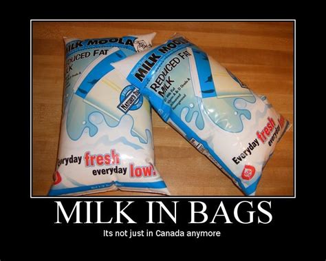 [Image - 570123] | In Canada, Milk Comes in Bags | Know Your Meme