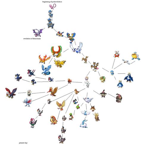 evolution of bird pokemon by Aggrontail on DeviantArt