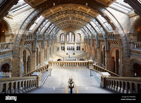 Natural History Museum interior, stairway with arcade view, nobody in ...