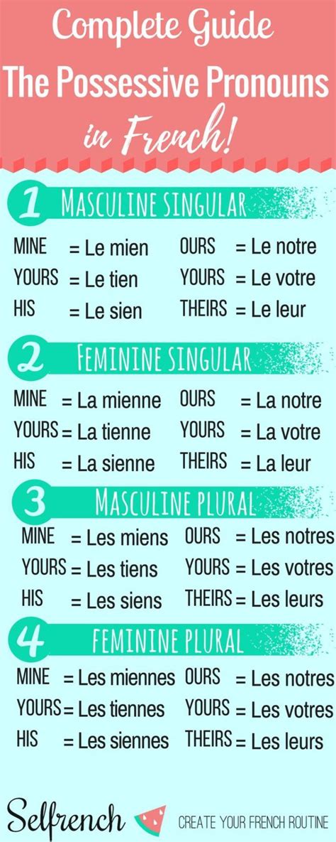 Educational infographic : The Possessive Pronouns in French - Les ...