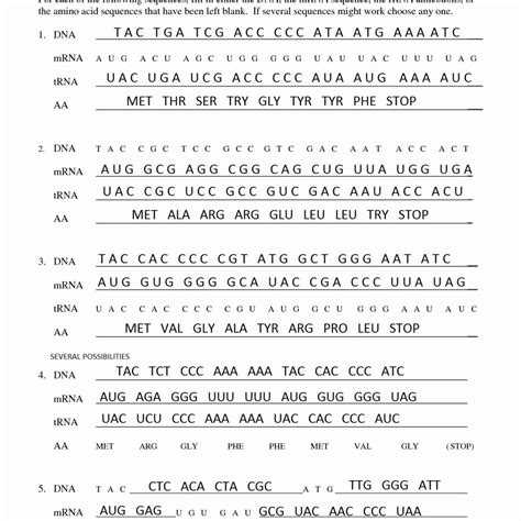 Dna Replication And Rna Transcription Worksheets