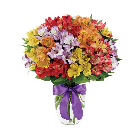 Peruvian Lily Rainbow Bouquet for delivery today | Ruth's Roses