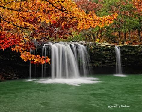 Sweet Gum trees and Falling Water Falls, Ozark National Forest ...