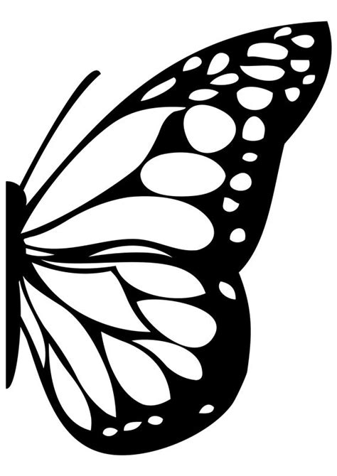 Wall Decals Butterfly Wing- WALLTAT.com Art Without Boundaries ...