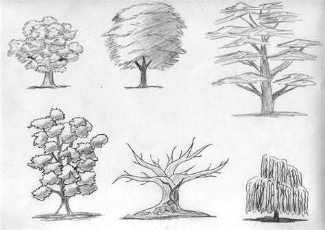 Sketch: Trees by digikijo on DeviantArt