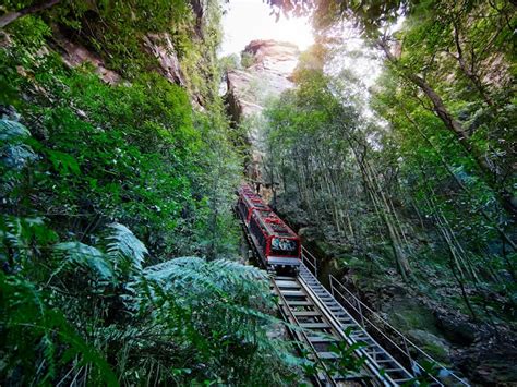 Scenic World Blue Mountains | NSW Holidays & Accommodation, Things to ...