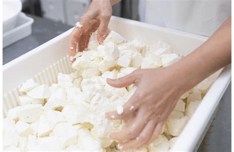 Cheese Making - Compliance Central