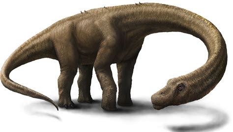 New 'massive' dinosaur skeleton discovered