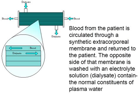 Plasmapheresis - Indications, Plasmapheresis Side Effects