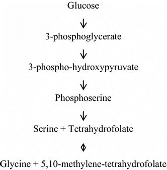 Glycine synthesis from glucose | Download Scientific Diagram