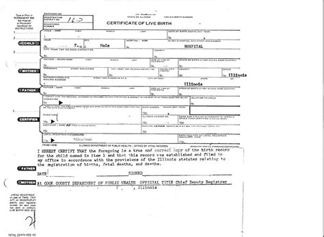 Certificate Of Live Birth Worksheet