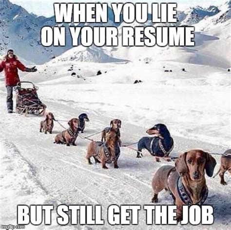 When you lie on your resume... - Imgflip