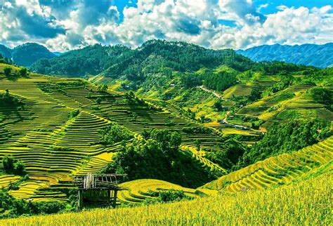 Private trains to Sapa, Lao Cai - Baolau