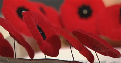 Royal Canadian Legion launches 2020 Poppy Campaign in London - London ...