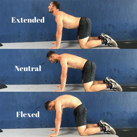 Should You Fear Lumbar Flexion? • Stronger by Science