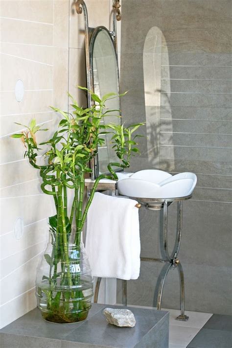 Best plants for bathrooms – 20 indoor plants for the bathroom