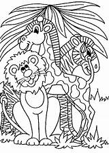 Printable Jungle Coloring Pages  Word Searches sketch template