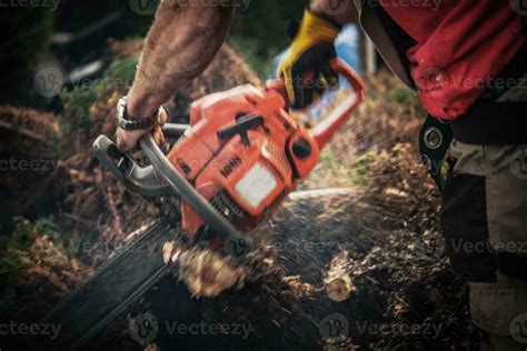 Tree Roots Removal 24636247 Stock Photo at Vecteezy