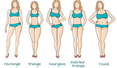 Body Types Chart