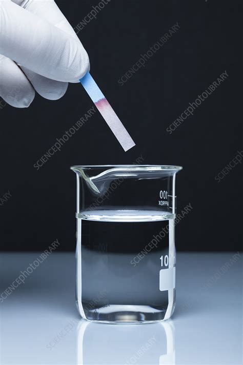 Cobalt chloride test paper - Stock Image - C036/3290 - Science Photo Library