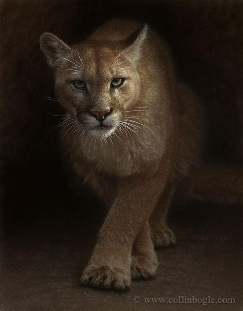 Cougar Painting, Cougar Art Print, Mountain Lion, Puma Cat, Panther ...