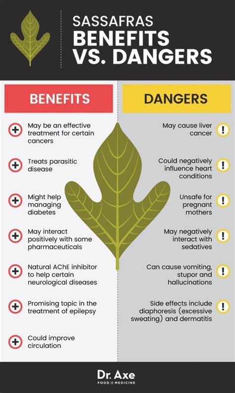 Sassafras: Beneficial Natural Remedy or Dangerous Drug? | Infographic health, Holistic health ...