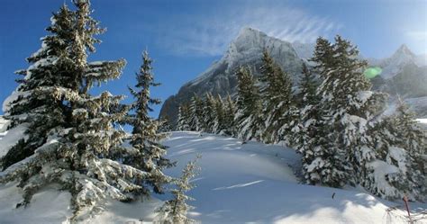 Grindelwald ski resort | Switzerland