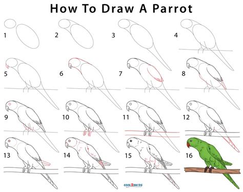 Bird Drawing With Colour Parrot Once you learn how to draw a parrot you can go on to finish it ...