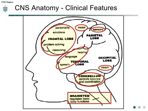 Pathology of CNS Tumors