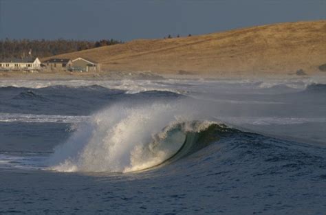 Lawrencetown Beach