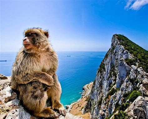 THE 15 BEST Things to Do in Gibraltar (Updated 2024)