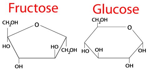 Which of the following sugars is known as fruit sugar?