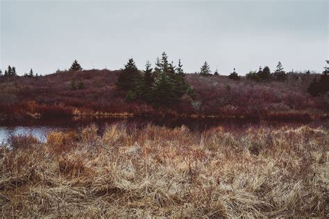 Walk Along Crystal Crescent Beach on Behance