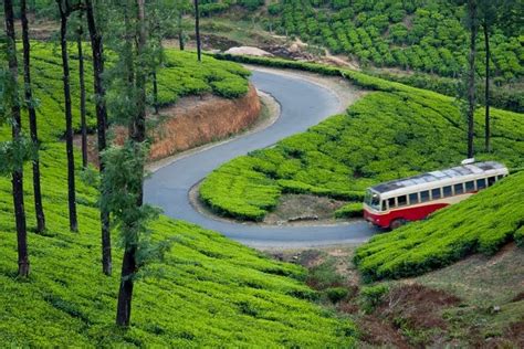 Vagamon, Hill Station and Adventure Tourism Destination in Kerala ...