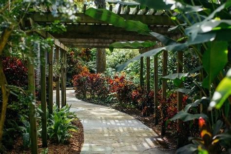 Sunken Gardens | Oldest Botanical Garden in St. Petersburg FL